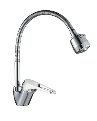 100510_gota_1.jpg