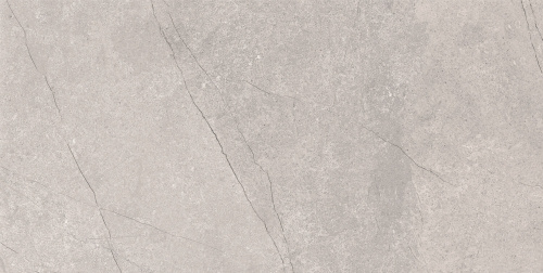 плитка_керамогранитная_azario_fossil_grey_60х120_matt__e4040821120m__1.jpg