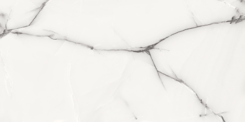 плитка_керамогранитная_azario_onyx_grey_60х120_glossy__p3211112138g__1.jpg