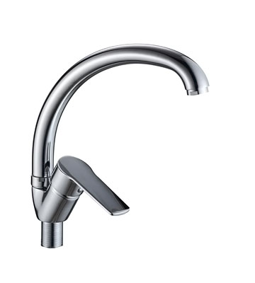022410_gota_1.jpg