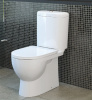 унитаз_компакт_sanita_luxe_art_напольный__с_сиденьем_микролифт__artslcc01040622__3.jpg