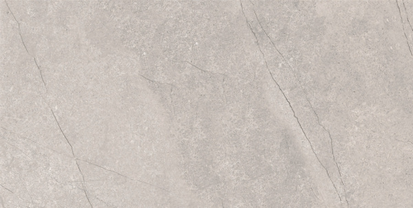 плитка_керамогранитная_azario_fossil_grey_60х120_matt__e4040821120m__3.jpg