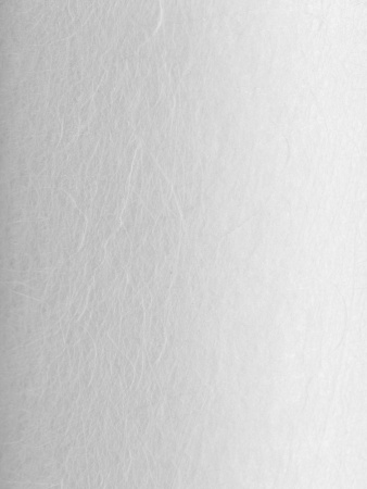 28077_5.jpg