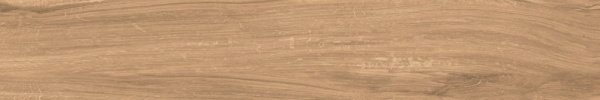 плитка_керамогранитная_azario_ashwood_20х120_matt__p231123221wm__5.jpg