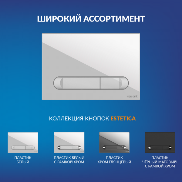 a64109_5.jpg