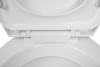 унитаз_компакт_creo_ceramique_project_с_микролифтом_656х390х775__прямой_выпуск__сливная_арматура_в_комплекте_13.jpg