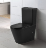 унитаз_компакт_azario_vetro_605х380х825_напольный__безободковый_с_бачком_и_сиденьем_микролифт__черный_матовый__z_2149_mb__3.jpg