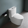 comforty__моноблок_керамический_cf3c6327p__горизонтальный_выпуск__сиденье_дюропласт_с_микролифтом_тонкое__2_реж__арматура__белый_глянец_2.jpg