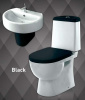 унитаз_компакт_sanita_luxe_best_с_быстросъемным_сидением_микролифт_и_черной_крышкой_2.jpg