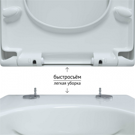 унитаз_berges_подвесной_ego_rimless_49см__сиденье_дюропласт_toma_so__микролифт__быстросъем_7.jpg