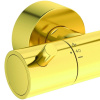душевая_система_ideal_standard_ceratherm_t125_с_термостатическим_смесителем__шлифованное_золото__a7589a2__3.jpg