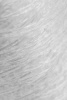 28050_6.jpg