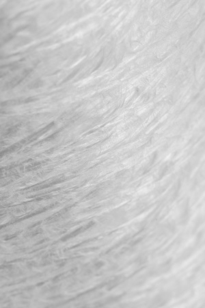 28050_6.jpg