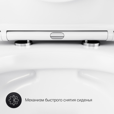 c741701sc_11.jpg