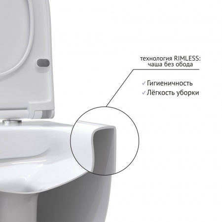 унитаз_berges_подвесной_ego_real_rimless_49см__сиденье_дюропласт_toma_slim_so__микролифт__быстросъем_4.jpg