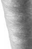 28317_5.jpg