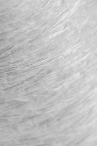 28057_5.jpg