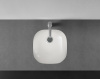 ap41011b_2.jpg