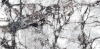 плитка_керамогранитная_kale_60х120_bluetta_glosy__k310100800296g__1.jpg