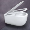 унитаз_berges_подвесной_ego_real_rimless_49см__сиденье_дюропласт_toma_slim_so__микролифт__быстросъем_9.jpg