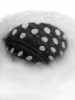 28304_5.jpg