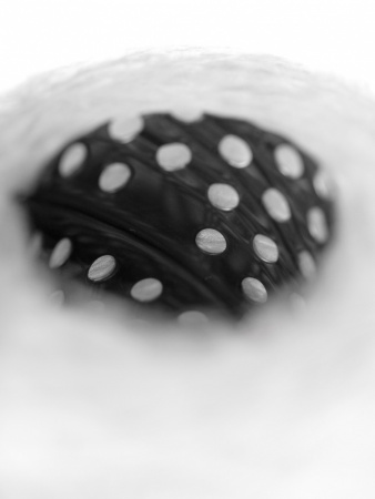 28304_5.jpg