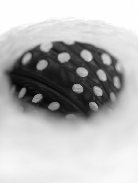 28304_5.jpg