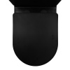 унитаз_компакт_azario_black_queen_370х605х800_безободковый__с_быстросъемным_сиденьем_микролифт__черный_матовый__az_8380__6.jpg