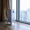 очиститель_воздуха_electrolux_eap_1055d_yin_amp_yang_8.jpg