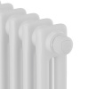 дизайн_радиатор_royal_thermo_insignia_vc2180___14_секц__ral9016_3.jpg