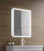 зеркало_шкаф_azario_киото_50__535х750__c_подсветкой_и_диммером__led_00002357__2.jpg