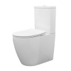 comforty__унитаз_компакт_cf41253s__сиденье_дюропласт_с_микролифтом__белый_глянец_1.jpg