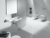 унитаз_повесной_roca_meridian_n_360х480х330_с_быстросъемным_сиденьем_микролифт__белый__7_3462_4_800_0_00079238__5.jpg