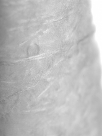 28307_4.jpg