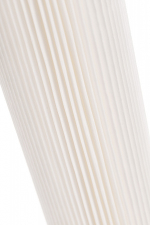 50764_4.jpg