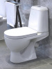 унитаз_компакт_sanita_luxe_max_sl_с_быстросъемным_сидением_микролифт_3.jpg