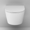 c8f1701sc_6.jpg
