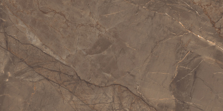 плитка_керамогранитная_azario_royal_marble_60х120_high_glossy__p3060821120hg__4.jpg