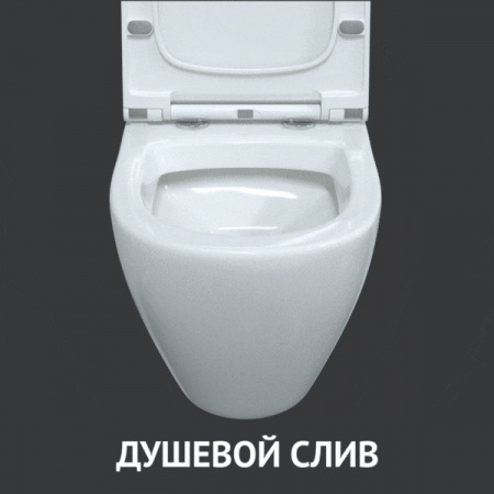 комплект_berges__инсталляция_novum__кнопка_f5__унитаз_okus__сиденье_дюропласт_toma_slim_so_11.jpg