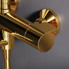 f0785a599_4.jpg