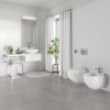 унитаз_подвесной_sanita_luxe_ringo_с_быстросъемным_сидением_микролифт__wc_wh_ringo_dm_wht_g_s1__6.jpg