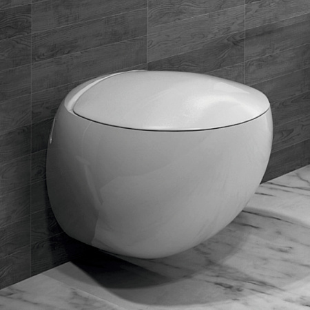 унитаз_подвесной_sanita_luxe_ringo_с_быстросъемным_сидением_микролифт__wc_wh_ringo_dm_wht_g_s1__2.jpg