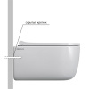 унитаз_berges_подвесной_ego_real_rimless_49см__сиденье_дюропласт_toma_slim_so__микролифт__быстросъем_5.jpg