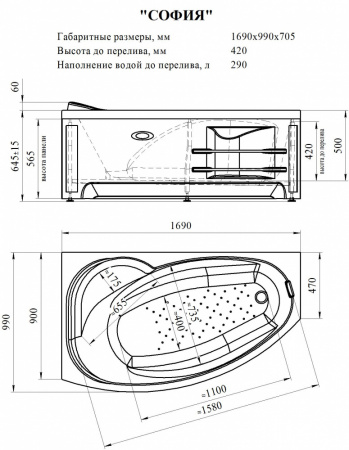 ванна_софия_169х99_правосторонняя_8.jpg
