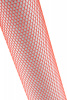 30056_7.jpg