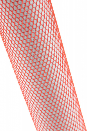 30056_7.jpg