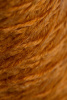 28123_6.jpg