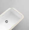 ap4036_5.jpg