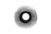 28317_6.jpg