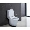 унитаз_компакт_azario_verde_650х380х790_напольный__безободковый__с_быстросъемным_сиденьем_микролифт__az_8220__3.jpg